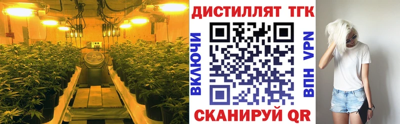 ТГК вейп  Зеленогорск 
