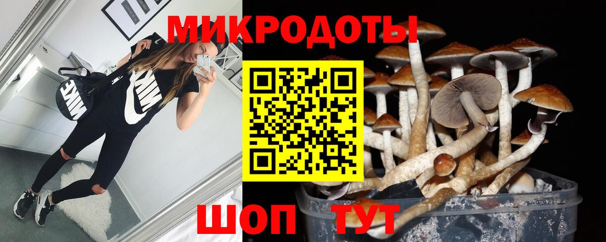 Зеленогорск  Псилоцибиновые грибы прущие грибы  Вход с VPN 