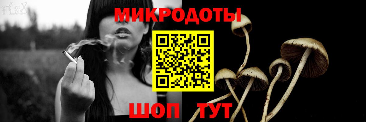 Псилоцибиновые грибы мицелий Зеленогорск